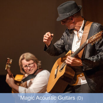2019_Magic Acoustic Guitars